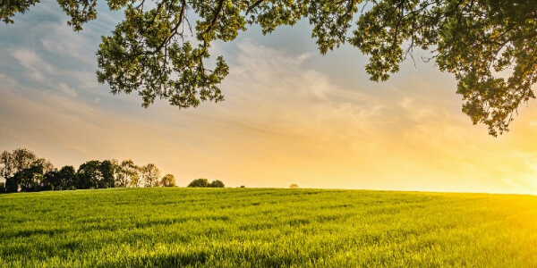 services-03 Services 03